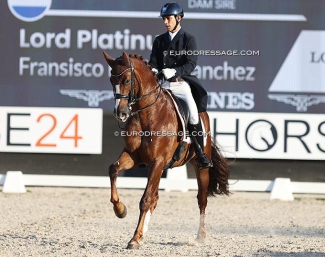 Spanish team newcomer Francisco Benitez on Lord Platinum :: Photo © Astrid Appels