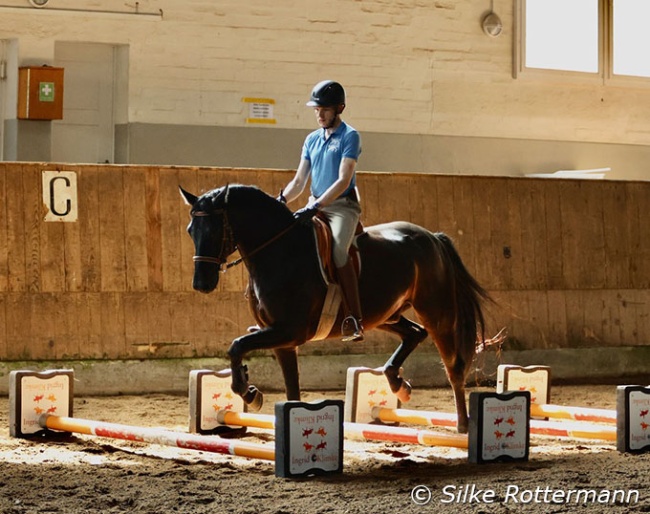 Fanti active and in a soft contact over the cavaletti :: Photo © Silke Rottermann