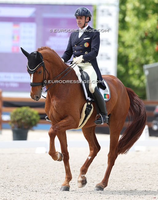 Nuno Palma e Santos and Fortunity S at the 2025 CDIO Lier :: Photo © Astrid Appels