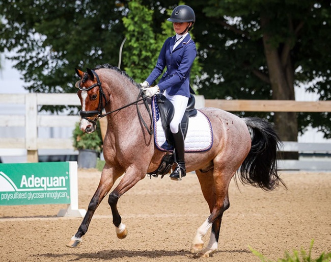 Samantha MacDonald and Candy Crush win the Pony Division at the 2025 U.S. Dressage Championships :: Photo © US Equestrian