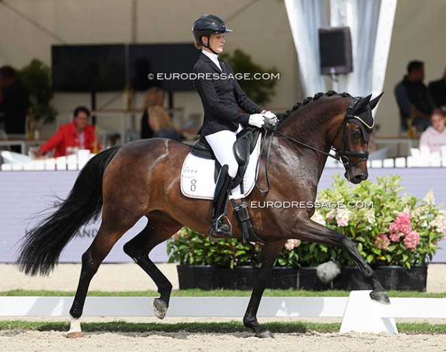 Carina Scholz and La Jolie SW OLD win the 6-year old preliminary test at the 2025 World Young Horse Championships :: Photo © Astrid Appels