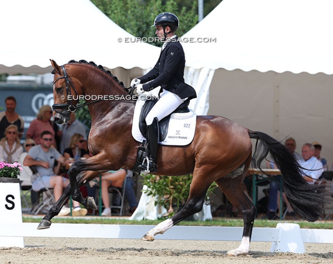 Alvaro Rodriguez Sidcar on DC-10 at the 2025 Hanoverian Young Horse Championships :: Photo © Astrid Appels