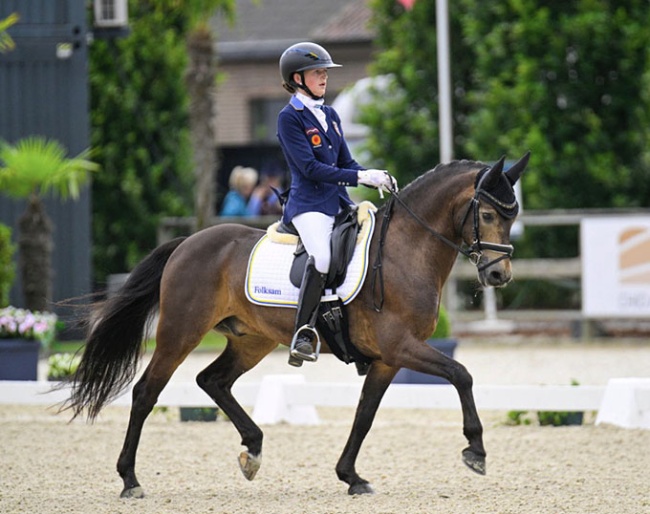 Nice One at the 2024 European Pony Championships