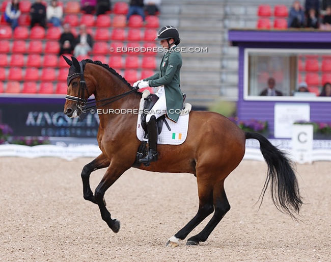 Alex Baker and Dutchman at the 2022 World Championships in Herning :: Photo © Astrid Appels