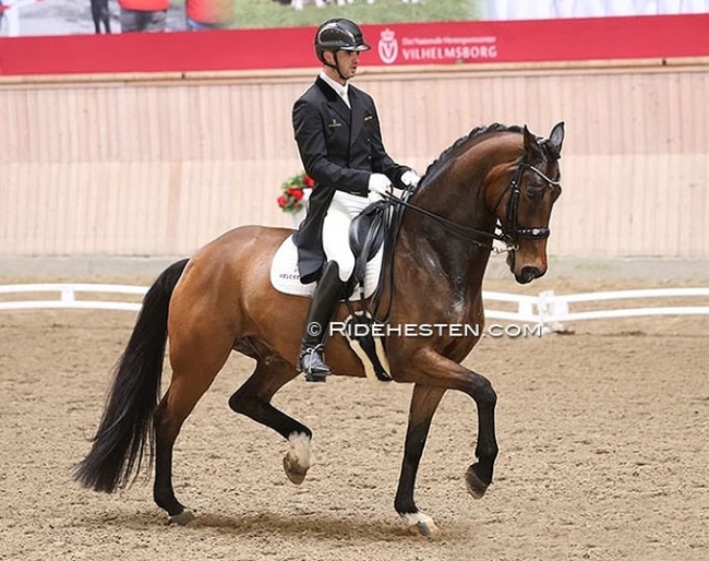 Eric Guardia Martinez and Hilus MHB competing in Denmark in 2023 :: Photo © Ridehesten