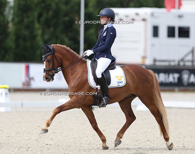 Frans Isak at the 2024 European Pony Championships :: Photo © Astrid Appels