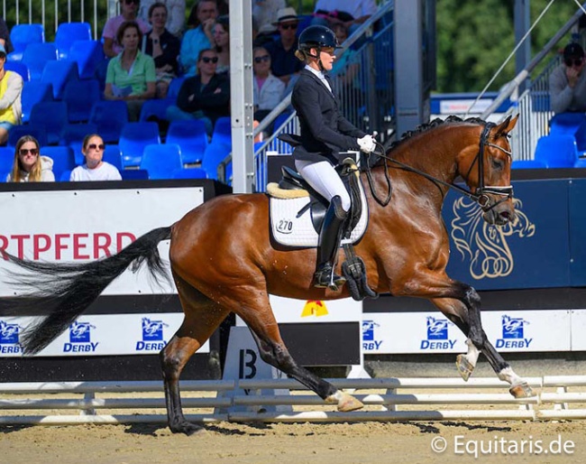 Christiane Ulmker on Be My Sunshine at the 2025 Bundeschampionate :: Photo © Equitaris
