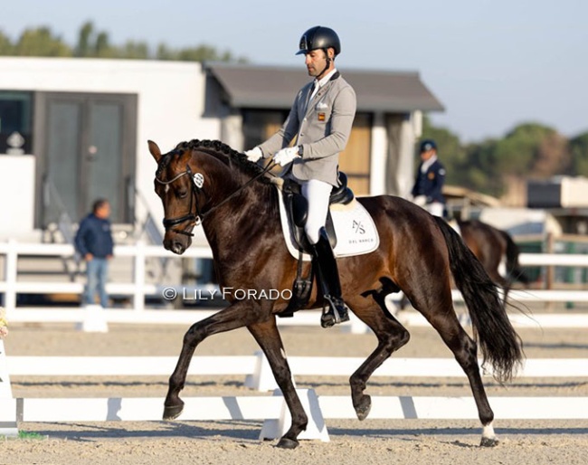 Alejandro Sanchez del Barco and the Oldenburg stallion Eterno win the 4-year old division at the 2025 Spanish Young Horse Championships :: Photo © Lily Forado