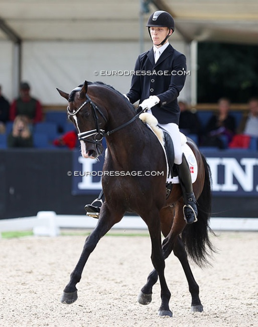 Hesselhoj Double Up at the 2023 World Young Horse Championships :: Photo © Astrid Appels