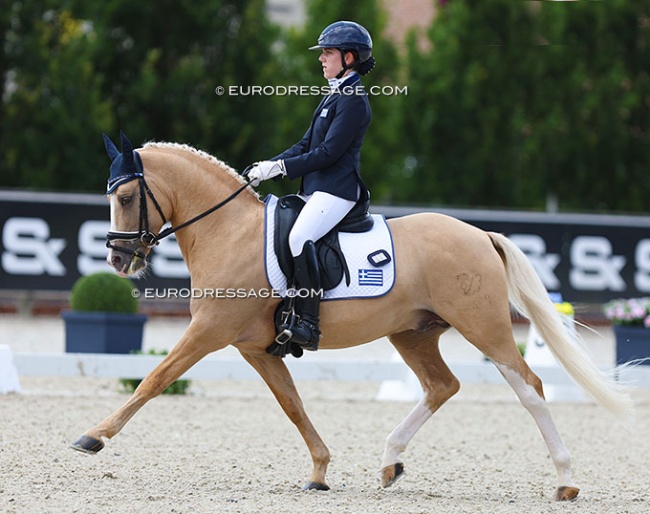 Dandy Lion at the 2024 European Pony Championships :: Photo © Astrid Appels