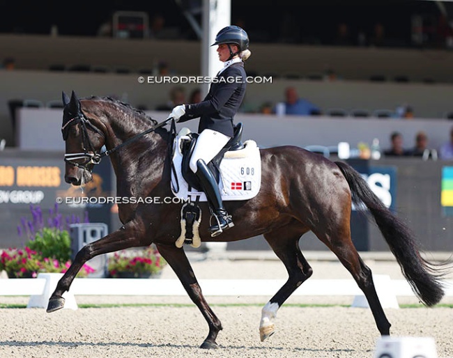 Mette Sejgjerg Jensen and Straight Horse Floriana at the 2024 World Young Horse Championships :: Photo © Astrid Appels