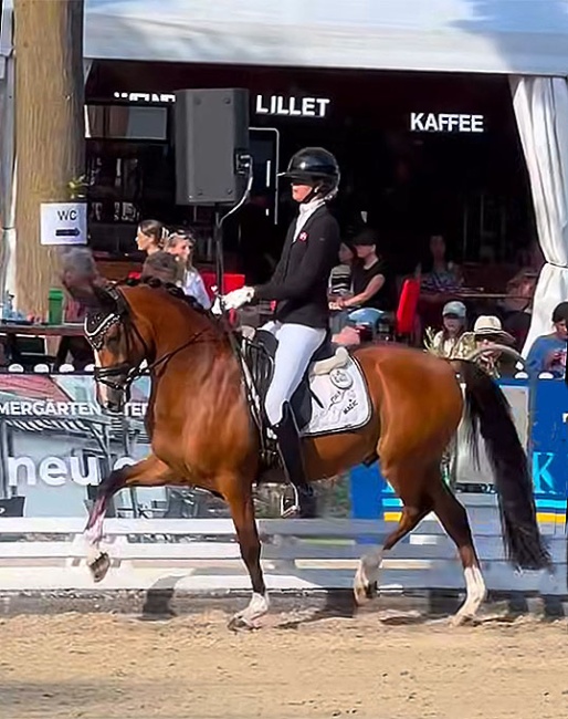 Filippa Jaeger Jensen and Darboven K at the 2025 Bundeschampionate