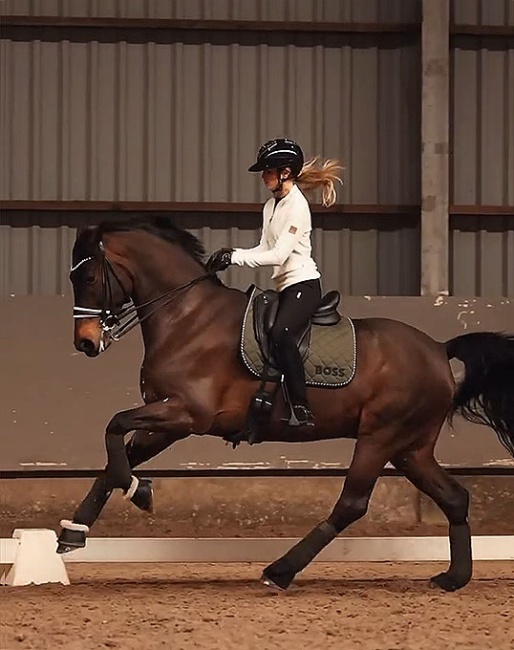 Morgan Barbançon schooling Magic Mike (by Spielberg x Patijn) at home in Belgium