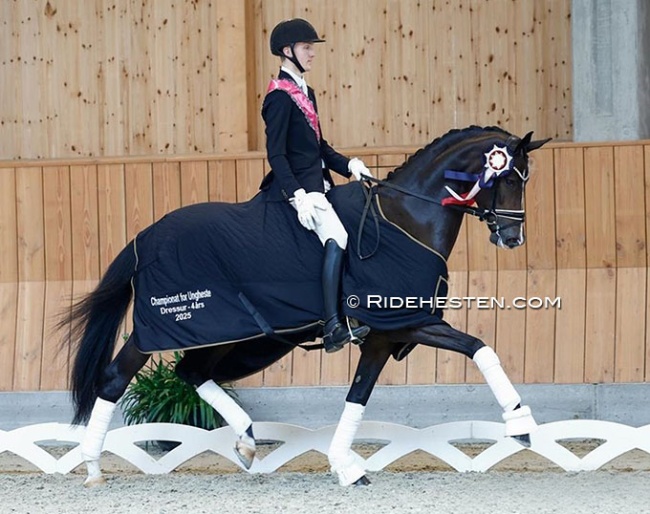 Anders Sjobeck Hoeck and Søbakkehus Miss Malfoy win the 4-year old division at the 2025 Danish Young Horse Championships :: Photos © Ridehesten