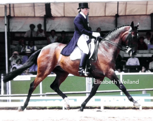 Trish Gardiner on Throughbred Wily Imp xx at the 1987 European Dressage Championships :: Photo © Elisabeth Weiland