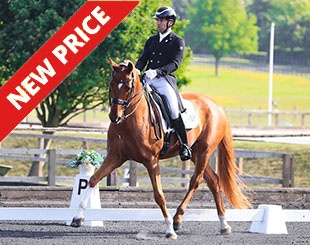 Quentino :: Photo © Spidge