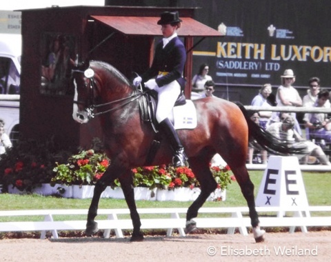 Ingamay Bylund and Aleks at the 1987 European Championships in Goodwood :: Photo © Elisabeth Weiland