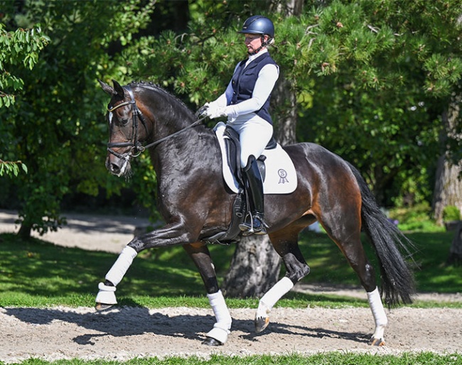 Fleur du Monde, a daughter of For Romance II × Totilas