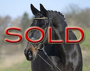 Akeno (by All Inclusive x Insterburg)