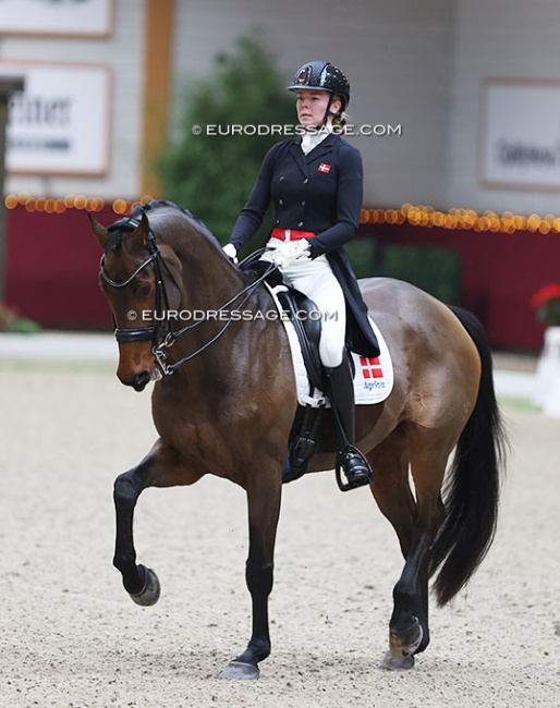 Cecilie Dybro Jensen and Zagori at the 2024 CDI Kronenberg Indoor :: Photo © Astrid Appels