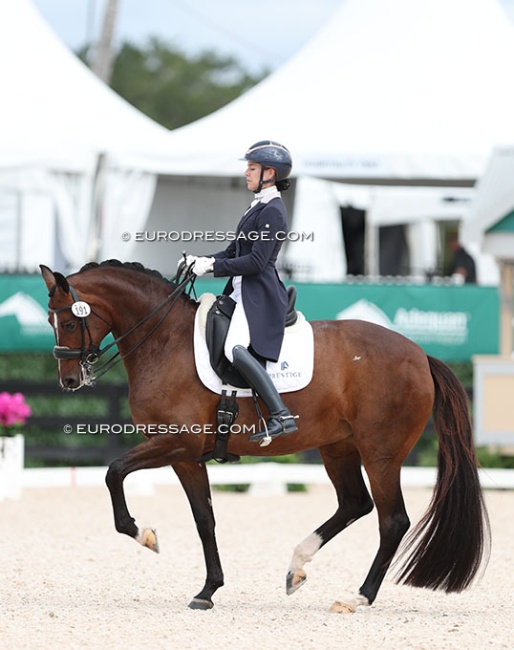 Amanda Perkowski and Sonata MF in the Developing GP Horse test at the 2024 CDN Wellington :: Photo © Astrid Appels