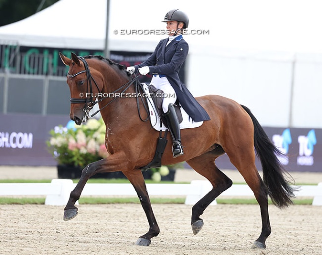 Stella Hagelstam and Hagels Rosophia at the 2025 World Young Horse Championships in Verden :: Photo © Astrid Appels