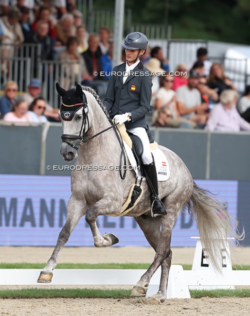 Alejandro Oliva and Dintel at the 2025 World Young Horse Championships :: Photo © Astrid Appels