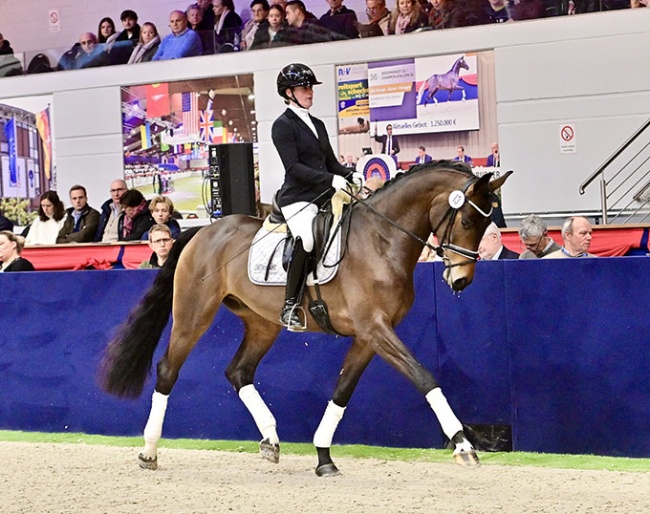 Dupont at the 2025 Oldenburg Special Edition auction