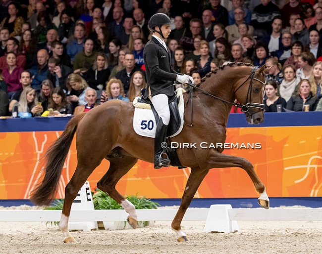 Ricardo Sanavio and King Karim at the 2019 KWPN Stallion Competition Finals :: Photo © Dirk Caremans