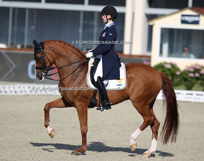 Nathalie Wahlund and Cerano Gold at the 2021 European Under 25 Championships :: Photos © Astrid Appels