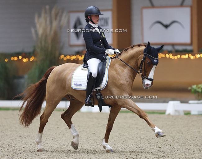 Ellen Jakobsson and Tanzbär T at the 2023 CDI Kronenberg Indoor :: Photo © Astrid Appels