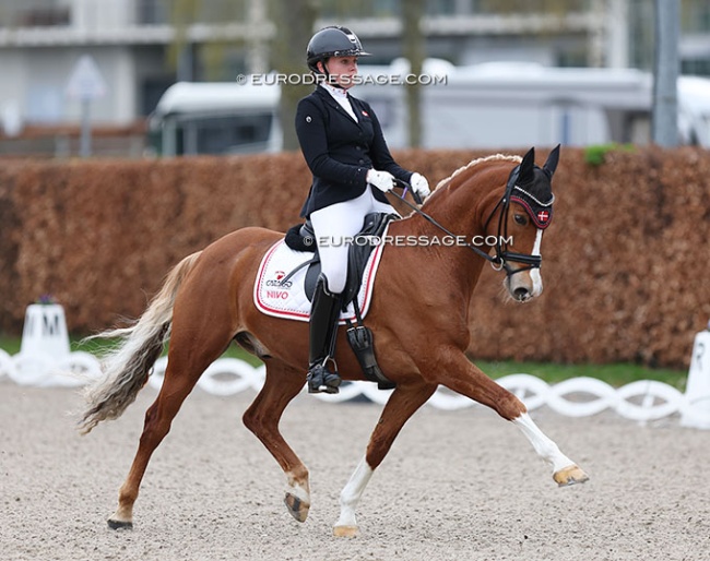 Rikke Schoubye Johansen and Lykkeholms Cyperb at the 2024 CDI Aachen Festival 4 Dressage :: Photo © astrid Appels