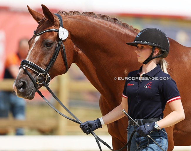 Florentina Jöbstl and Bodyguard at the 2025 European Young Riders Championships :: Photo © Astrid Appels