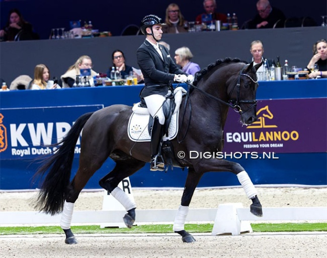 Alvaro Rodriquez Siscar and Secret USB at the 2025 KWPN Stallion Licensing :: Photo © Digishots