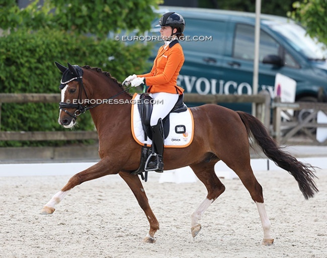 Esmae NIessen and Strandgaards Do It My Way at the 2025 CDIO Lier :: Photo © Astrid Appels