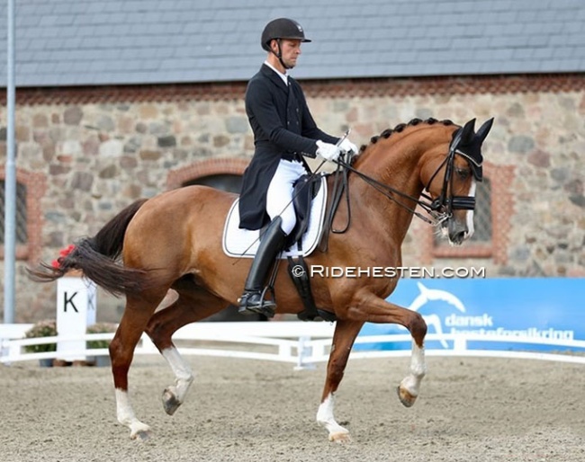 Daniel Bachmann Andersen and Diva Pilekaer at the national show in Vilhelmsborg :: Photo © Ridehesten