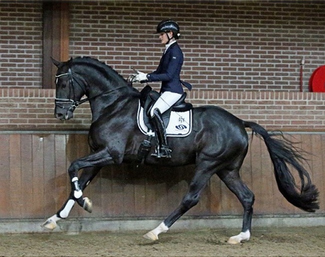 Lina Uzunhasan on Magic McKee L :: Photo © Sandra Nieuwendijk