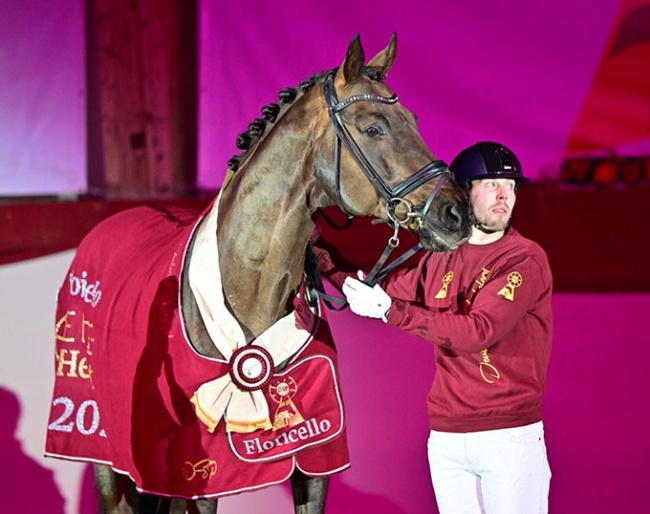 Floricello proclaimed elite sire at the 2026 DSP Stallion Licensing in Munich :: Photo © Björn Schroeder.