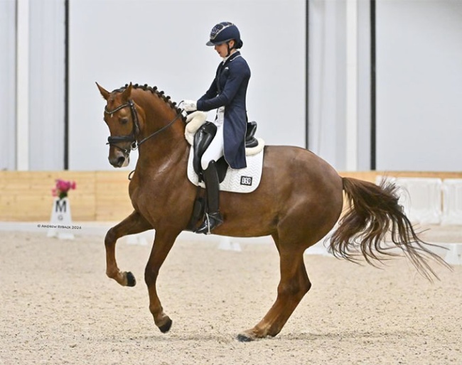 Nora Batchelder on Nova at the 2026 CDI Ocala :: Photos © Andrew Ryback