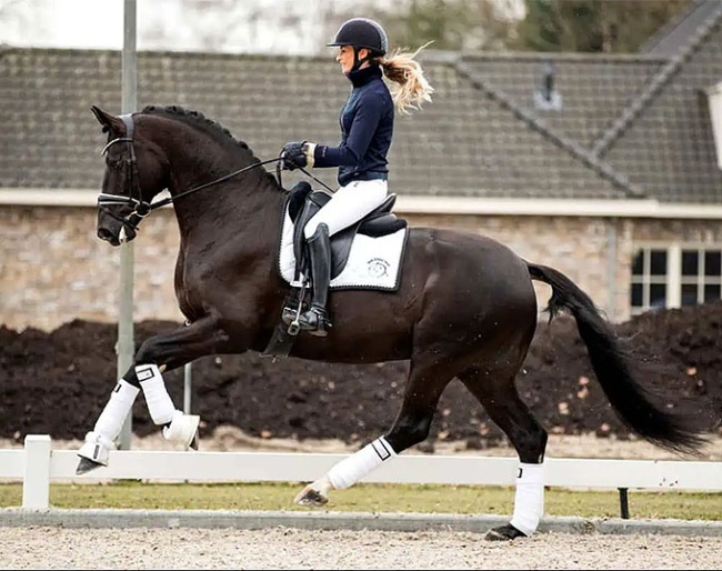 Lowlands OLD (by Millennium x Donnerball)