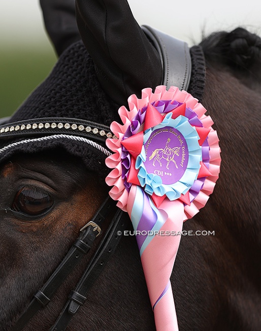 Wanted: FEI Dressage Pony with quality to make a team :: Photo © Astrid Appels
