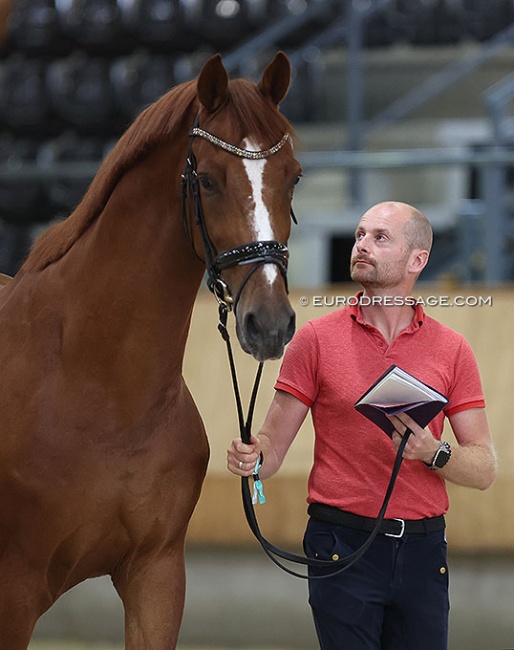 Theo Hanzon with JFK at the 2024 CDI Ermelo :: Photo © Astrid Appels