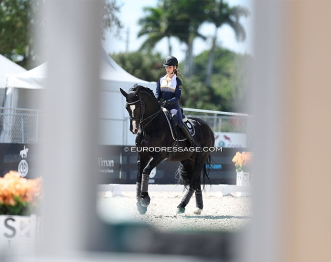 Kate Kyros and Chemistry at the 2024 CDI Wellington :: Photo © Astrid Appels