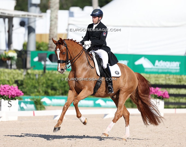 James Irwin and Flirtfaktor at the 2025 CDI Wellington :: Photo © Astrid Appels