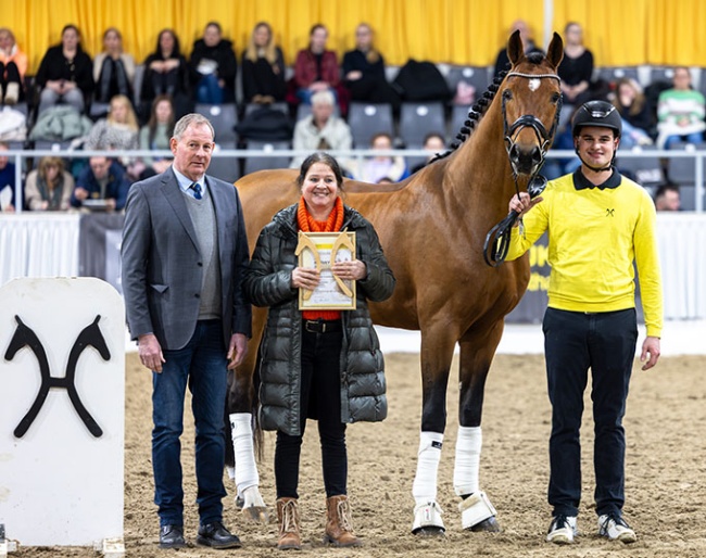 DC-10 at the 2026 Hanoverian Show for Privately Owned Stallions