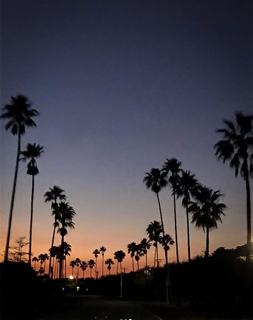 You can't beat those Wellington sunsets :: Photo © Astrid Appels