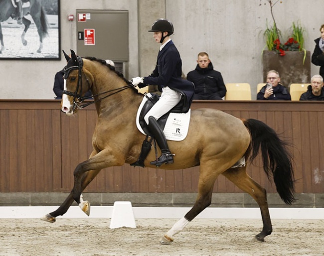 Laissez-Faire E (by Leredo x Rambo)