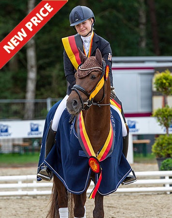 Bundeschampion Timms Ozzie