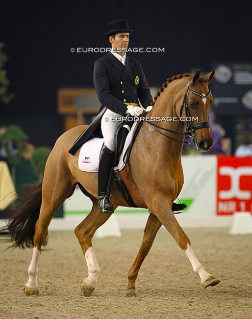 Wim Verwimp and Neversfelde Feuer at the 2011 CDI Zwolle :: Photo © Astrid Appels