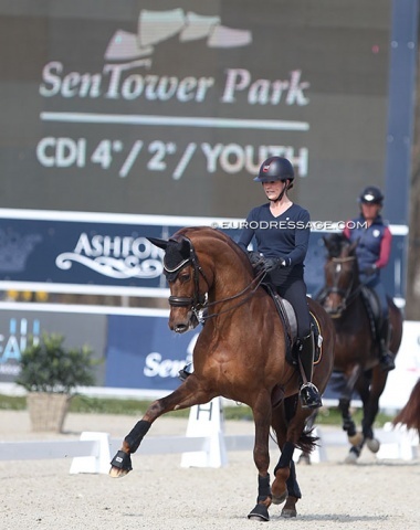 Larissa Pauluis schooling Valentin at the 2022 CDI Opglabbeek at Sentower Park :: Photo © Astrid Appels
